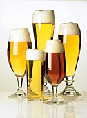 Various Types of Beers