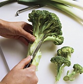 Broccoliröschen abschneiden