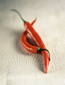 Two red chili peppers on a fabric background