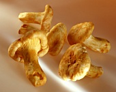 Chanterelles on brown background