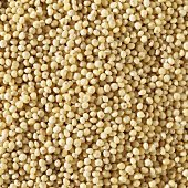 Amaranth (filling the picture)