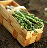 Green asparagus in a chip basket