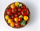 Verschiedene Tomatensorten im Korb