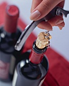 Opening red wine bottle (corkscrew positioned badly)