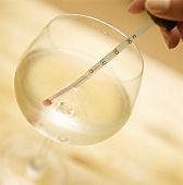 Wine thermometer in white wine glass
