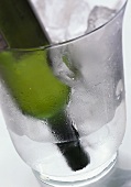 Weissweinflasche kopfüber im Eiskübel (rasches Kühlen)