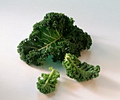 Kale on white background