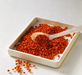 Red lentils in a bowl with spoon