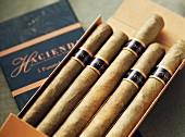 Canarian cigars from La Palma