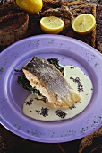 Norwegian salmon on spinach with white wine sauce