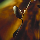 Bent spoon on a string
