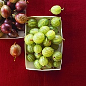 Red and green gooseberries in cardboard punnets