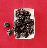 Blackberries in cardboard punnet