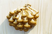Golden cultivated mushrooms on wooden background