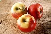 Three Elstar apples