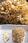 Fette Henne Pilz, teilweise in einer Schale