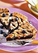 Blueberry tart with icing sugar on plate
