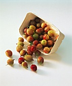 Gooseberries, partly in cardboard punnet