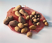 Kartoffeln auf rotem Netz