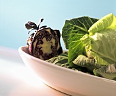 Various types of fresh cabbage with drops of water