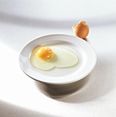 Mässig frisches aufgeschlagenes Ei auf weißem Teller