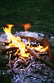 Camp-fire in a meadow