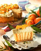 Apricot sponge roll cake with pistachio cream