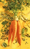 Carrots, green ribbon noodles and fresh herbs