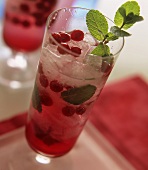 Redcurrant and mint cooler with ice cubes