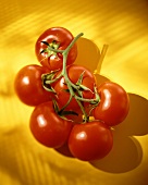 Vine tomatoes on yellow background
