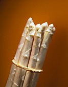 Bundle of white asparagus