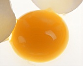 White egg, broken open
