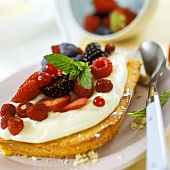 Piece of berry cake with vanilla cream