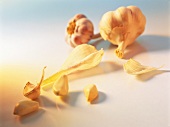 Garlic bulbs and cloves