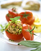 Stuffed tomatoes with tuna and green pepper
