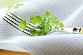 Fresh parsley on a fork