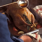 Cooking Martinmas goose: basting with meat juices