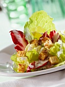 Blattsalat mit Croûtons und Joghurtdressing