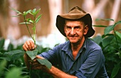 Australischer Farmarbeiter mit Avocadopflanzen