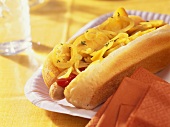 Fruit hot dog with onions and apricots