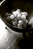 Freshly washed grapes in strainer