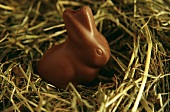 Chocolate bunny in straw