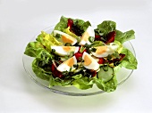 Mixed salad with boiled egg