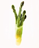 Frozen green asparagus