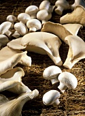 Button mushrooms and oyster mushrooms