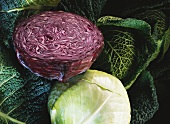 Savoy, red cabbage and white cabbage