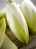 Fresh chicory