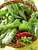 Fresh vegetables in basket