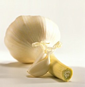 Fresh garlic with cloves of garlic