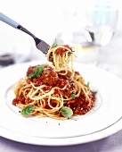 Spaghetti al pomodoro (Nudeln mit Tomatensauce & Basilikum)